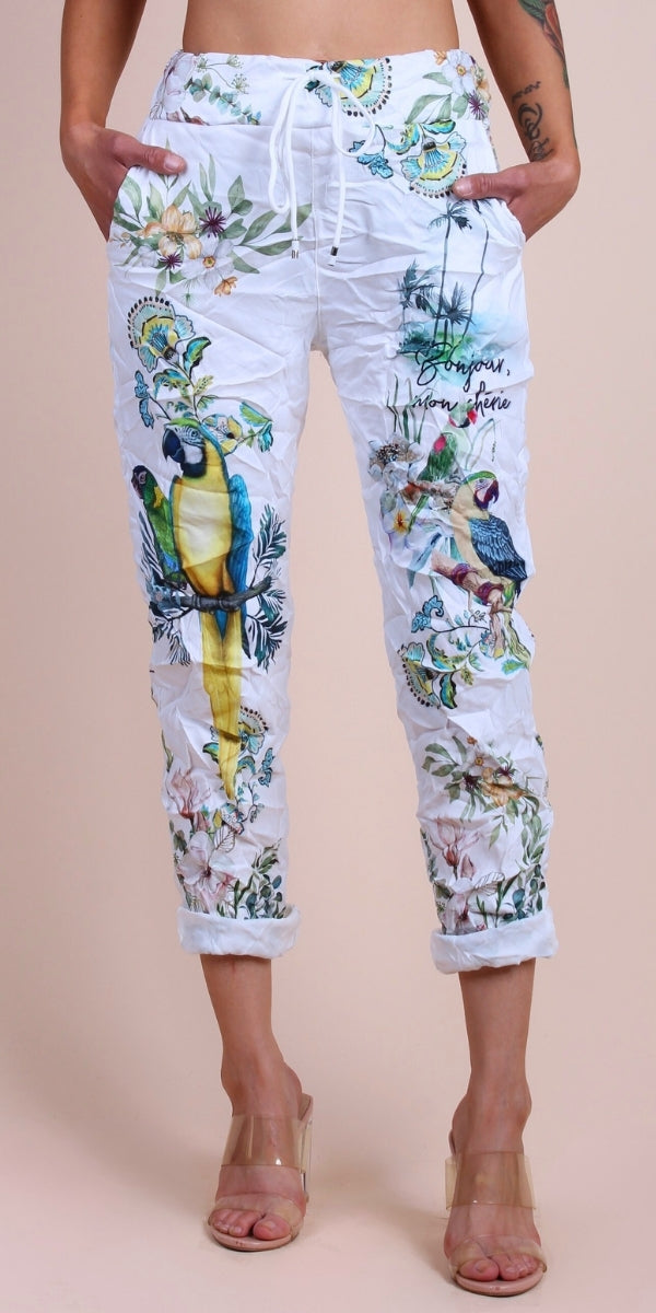 Geniviv Pappagallo Pant