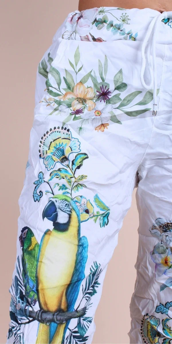 Geniviv Pappagallo Pant