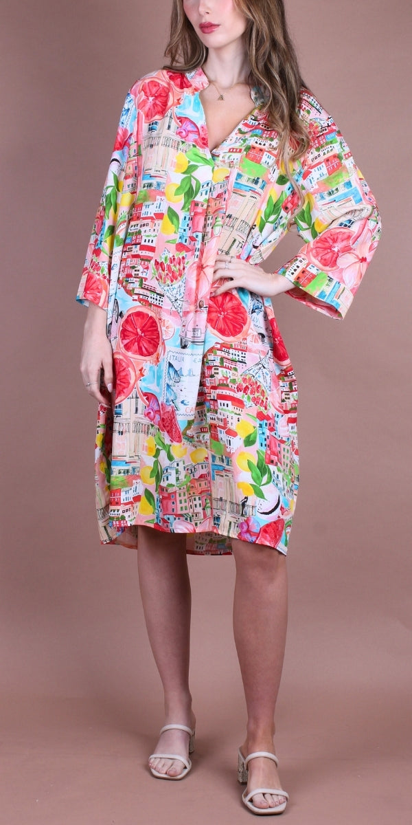 Aurora Scenic Print Dress