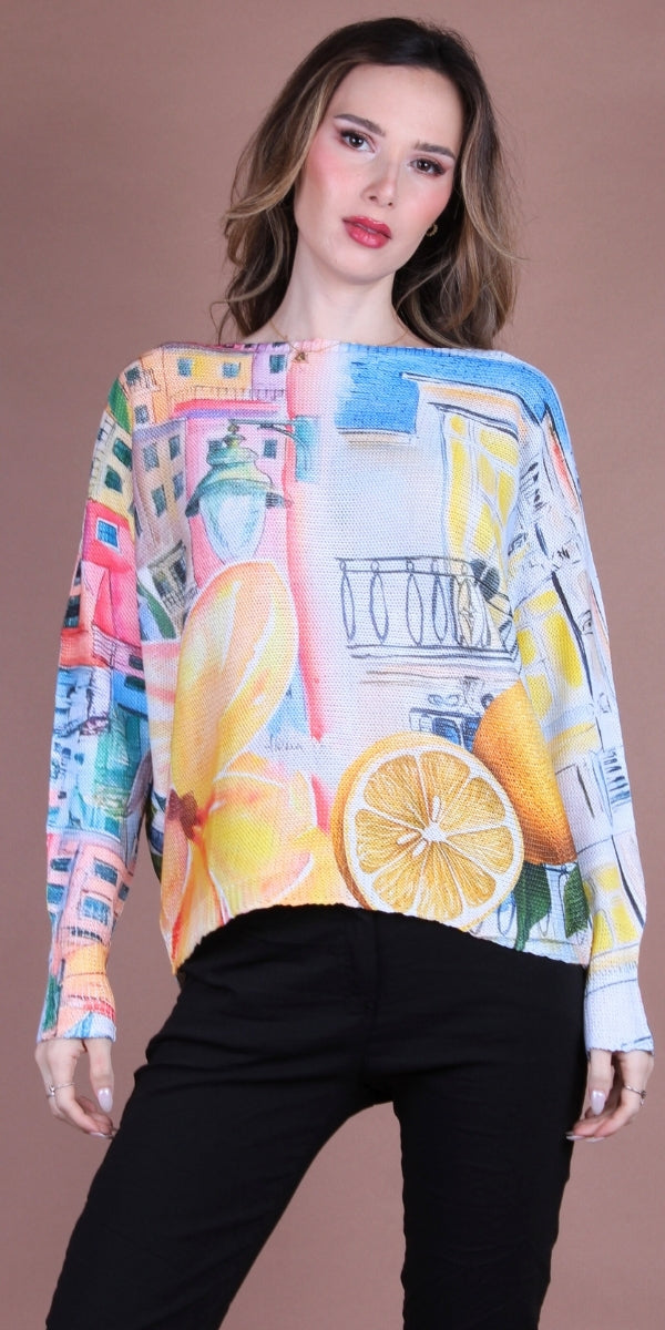 Daria Batwing Sweater with Scenic Print